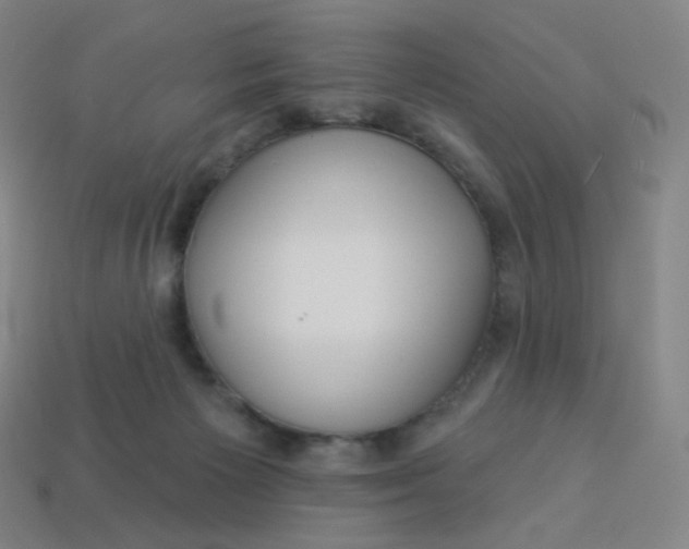 X0000113550125200910091312