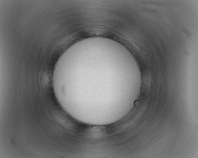 X0000113550126200910091312