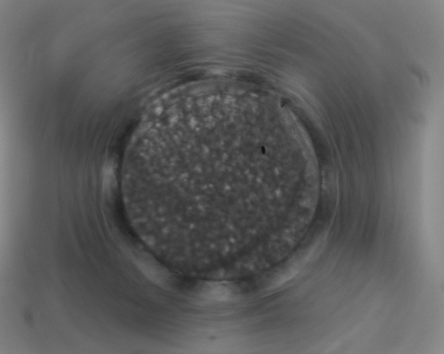 X0000113550127200910091312