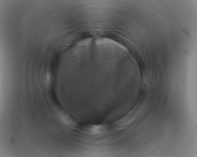 X0000113550130200910091312