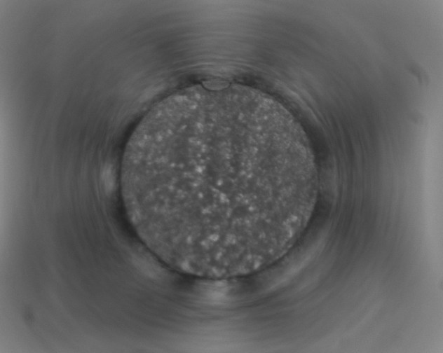X0000113550131200910091312