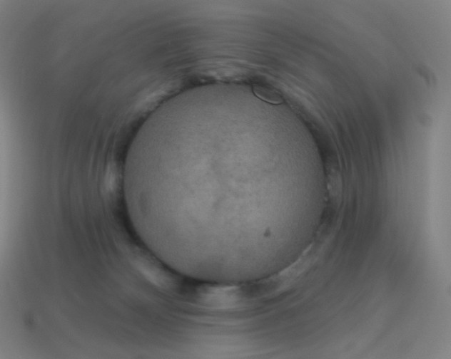 X0000113550132200910091312