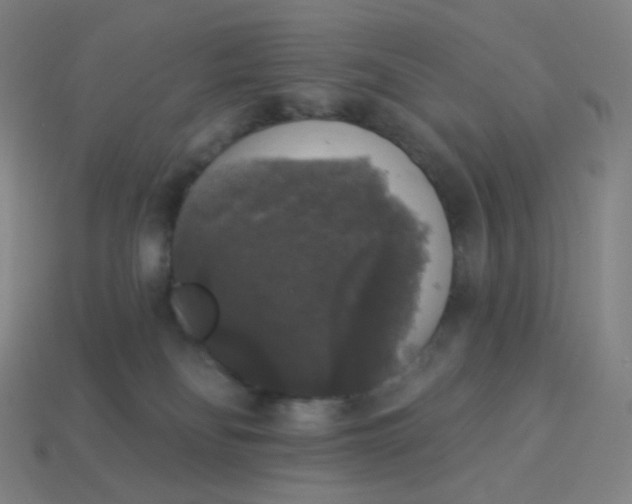 X0000113550134200910091312