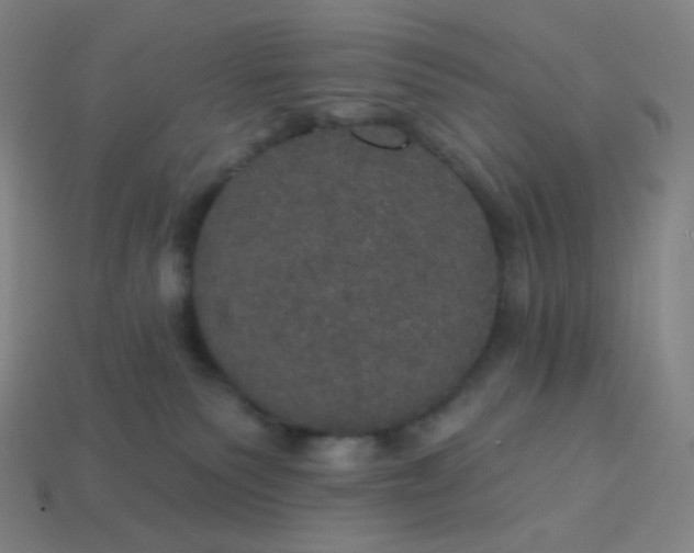 X0000113550135200910091312