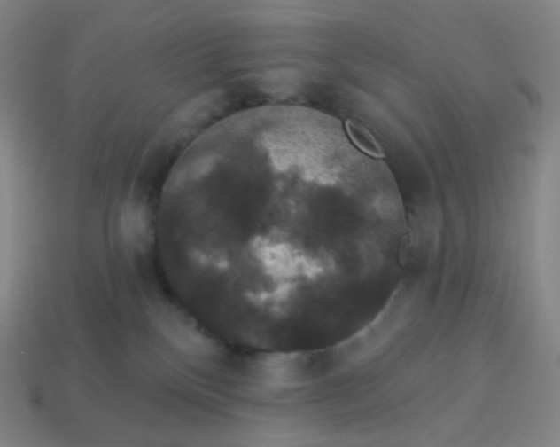 X0000113550136200910091312