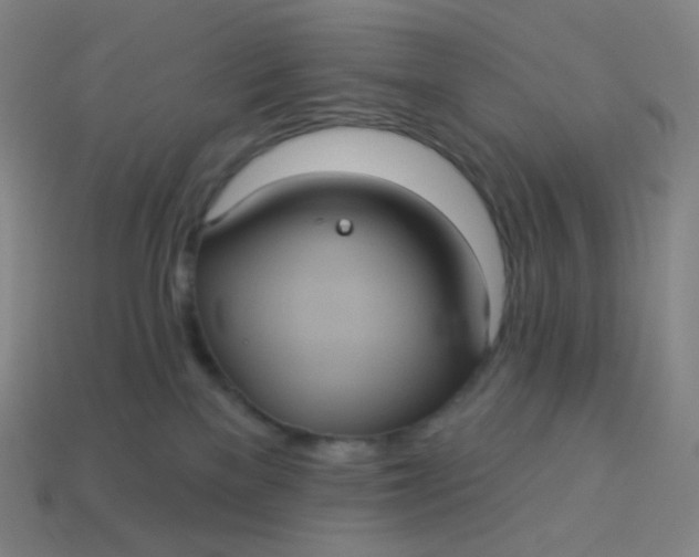 X0000113550137200910091312
