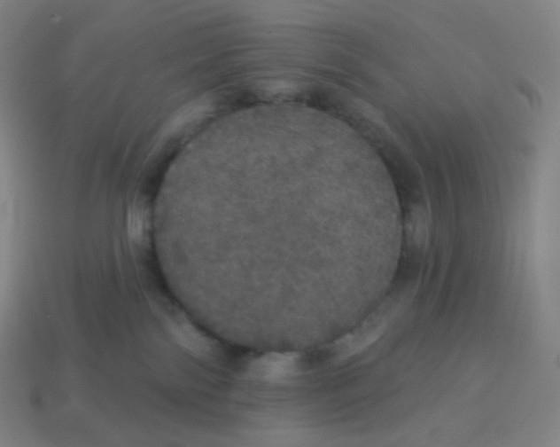X0000113550138200910091312