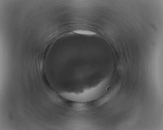 X0000113550139200910091312