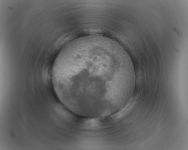 X0000113550140200910091312