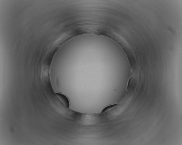 X0000113550141200910091312
