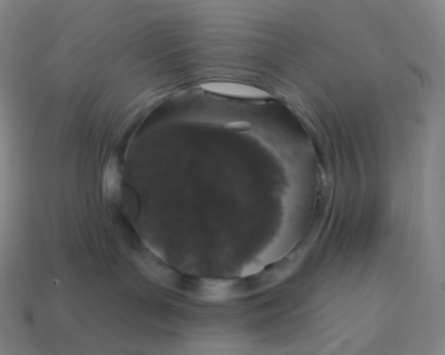X0000113550143200910091312