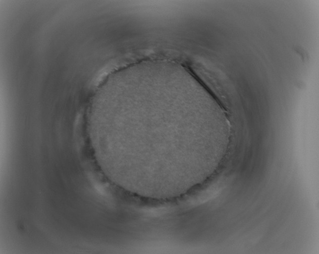 X0000113550144200910091312