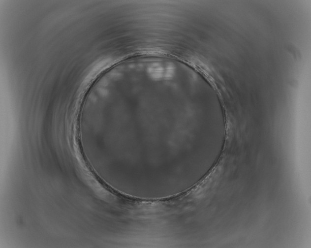 X0000113550145200910091311