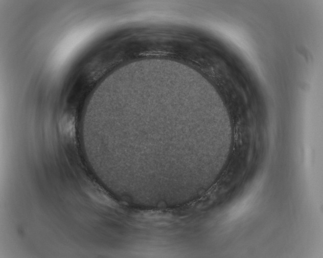 X0000113550146200910091311