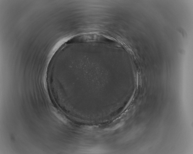 X0000113550147200910091311