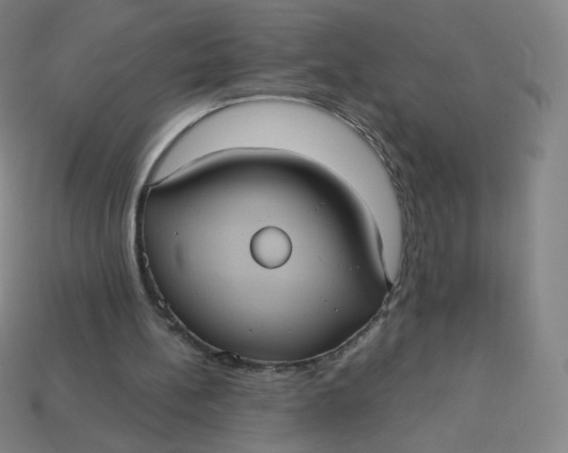 X0000113550148200910091311