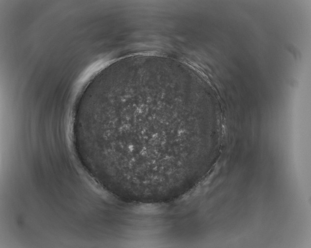 X0000113550149200910091311