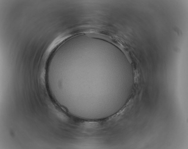 X0000113550150200910091311