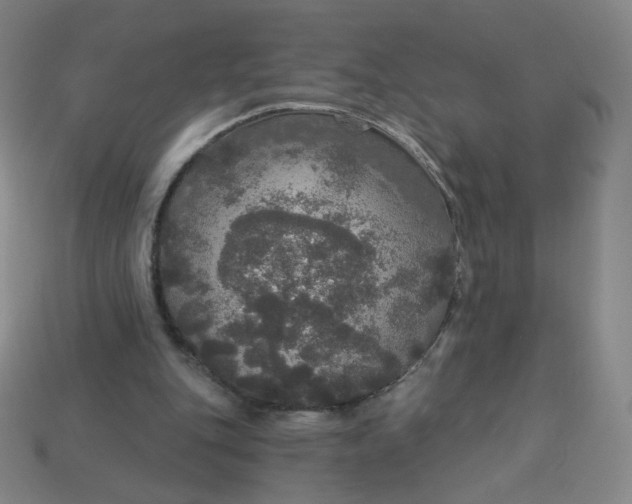 X0000113550151200910091311