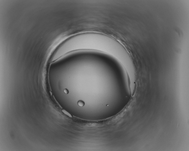 X0000113550152200910091311