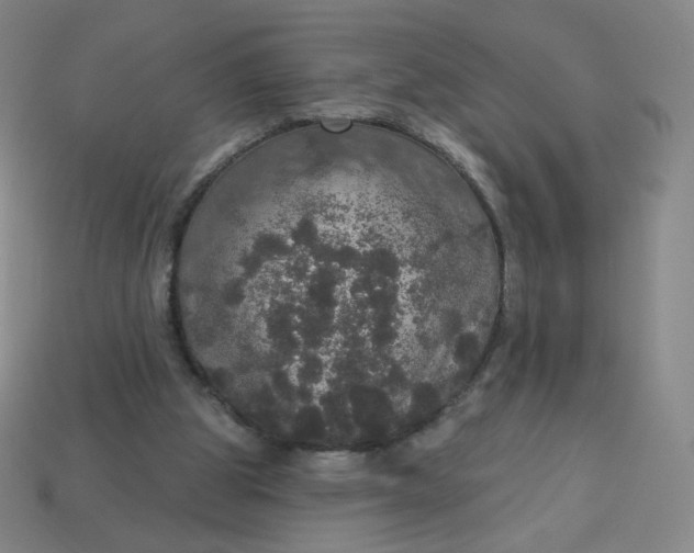 X0000113550153200910091311
