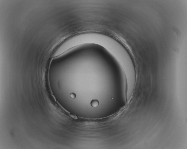 X0000113550154200910091311