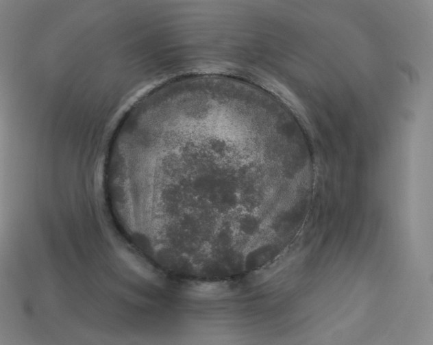 X0000113550155200910091311