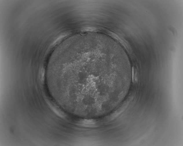 X0000113550157200910091311