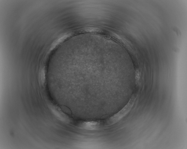 X0000113550158200910091311