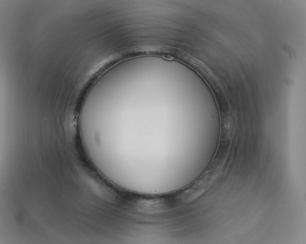 X0000113550160200910091311
