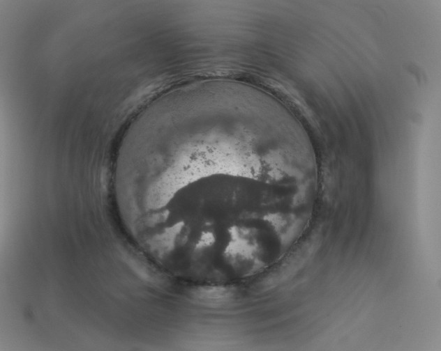 X0000113550161200910091311