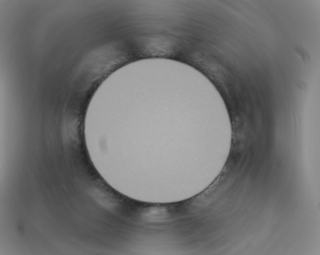 X0000113550162200910091311