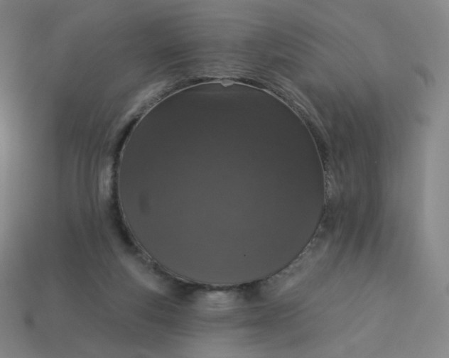 X0000113550163200910091311