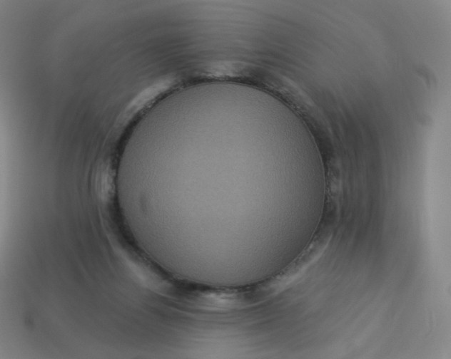 X0000113550164200910091311