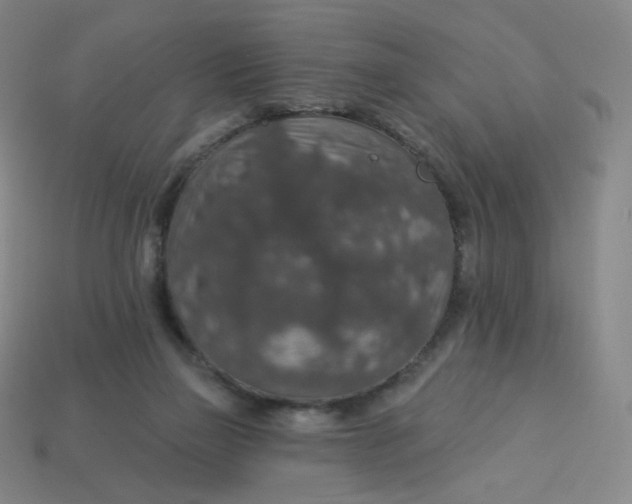 X0000113550165200910091311