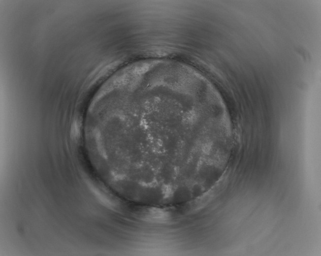 X0000113550166200910091311