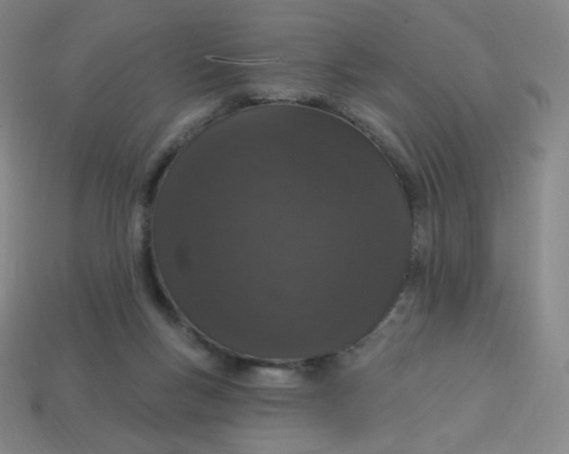 X0000113550167200910091311