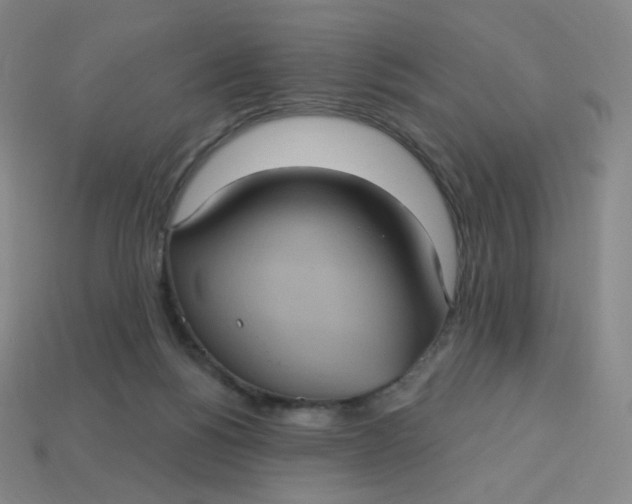 X0000113550168200910091311