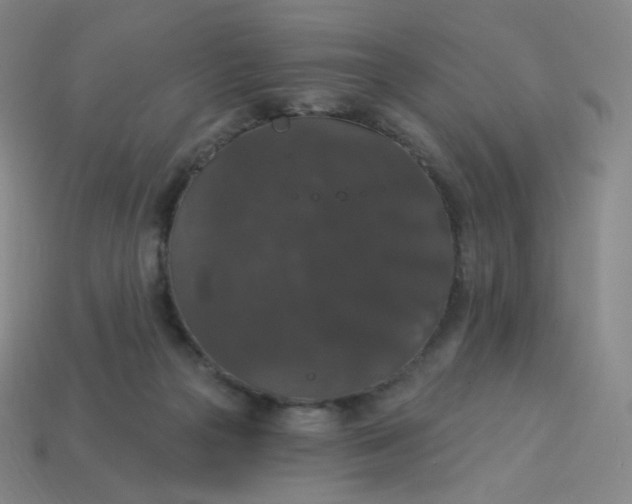 X0000113550169200910091311