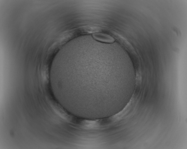 X0000113550170200910091311