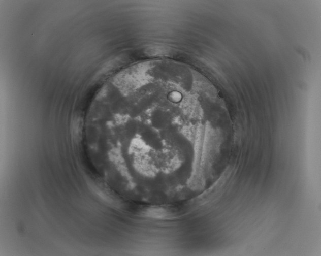 X0000113550171200910091311