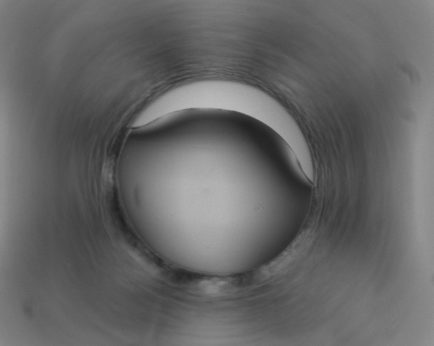 X0000113550172200910091311