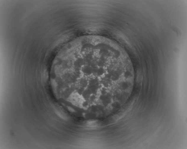 X0000113550173200910091311