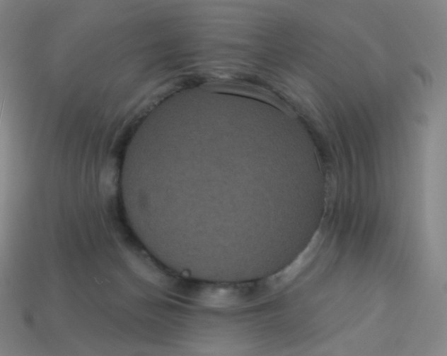 X0000113550174200910091311