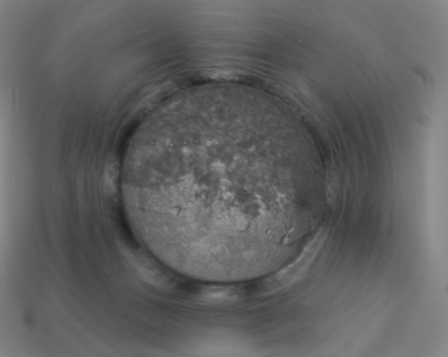 X0000113550175200910091311