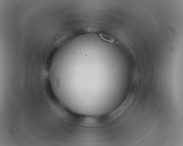 X0000113550176200910091311