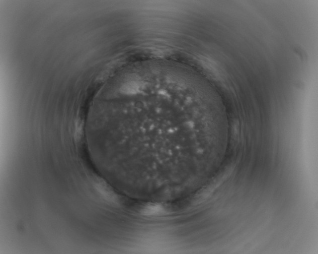 X0000113550177200910091311