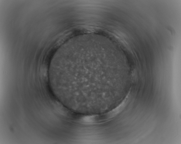 X0000113550178200910091311