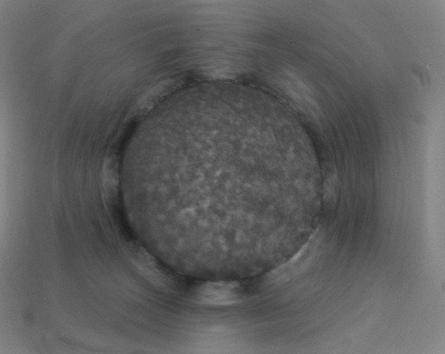 X0000113550179200910091311
