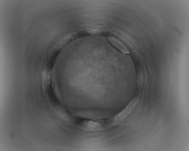 X0000113550180200910091311